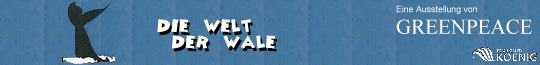 *Banner*