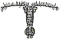 Deko: H&uuml;pferling /Diaptomus/